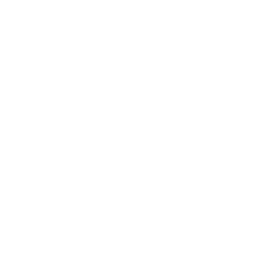 designbloom