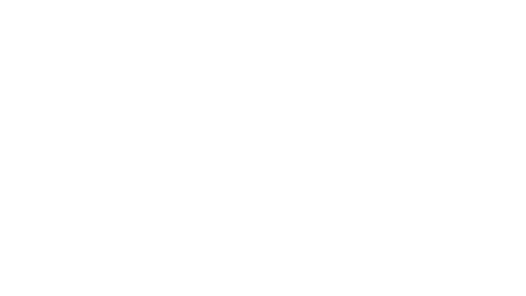 SCAVO 