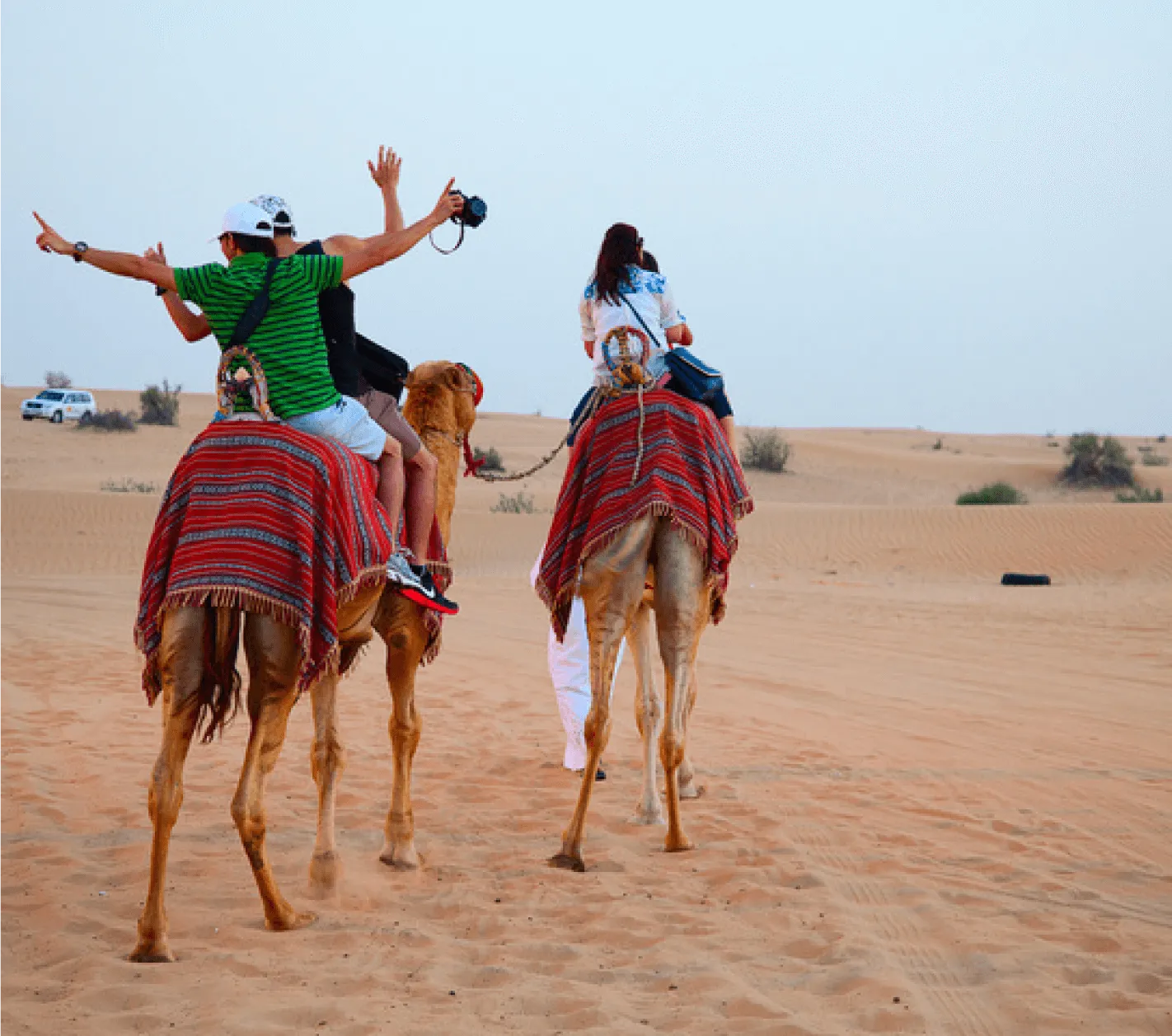 Saudi Travel guide