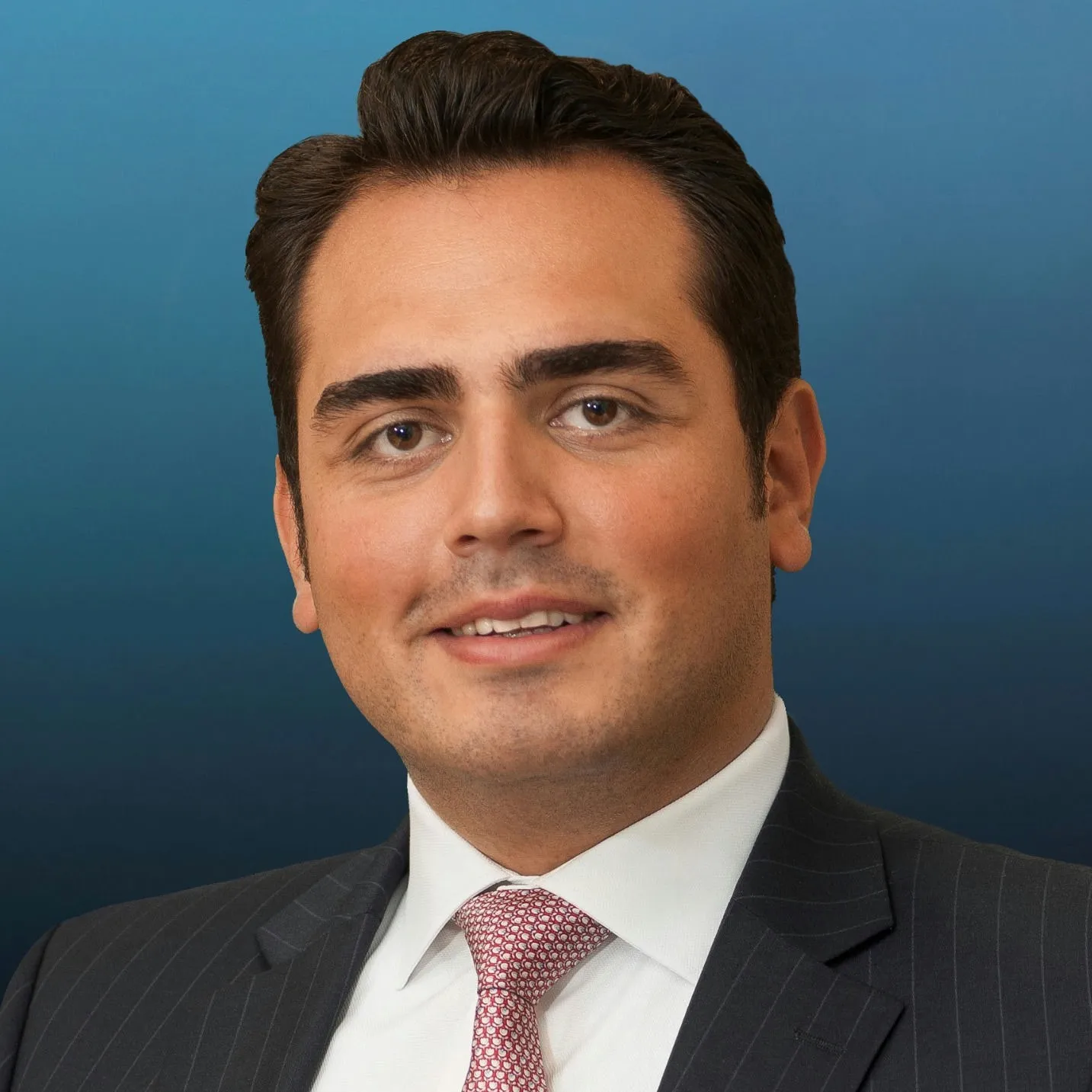 Anil Erdem
