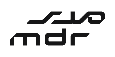 Mdr Investment Company